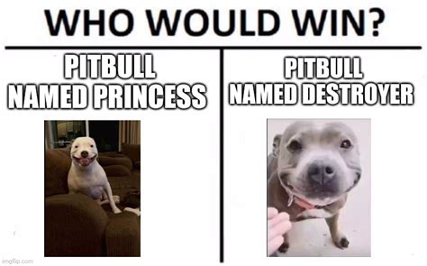 Pitbull named princess meme - 27M subscribers in the memes community. Memes! A way of describing cultural information being shared. An element of a culture or system of behavior…